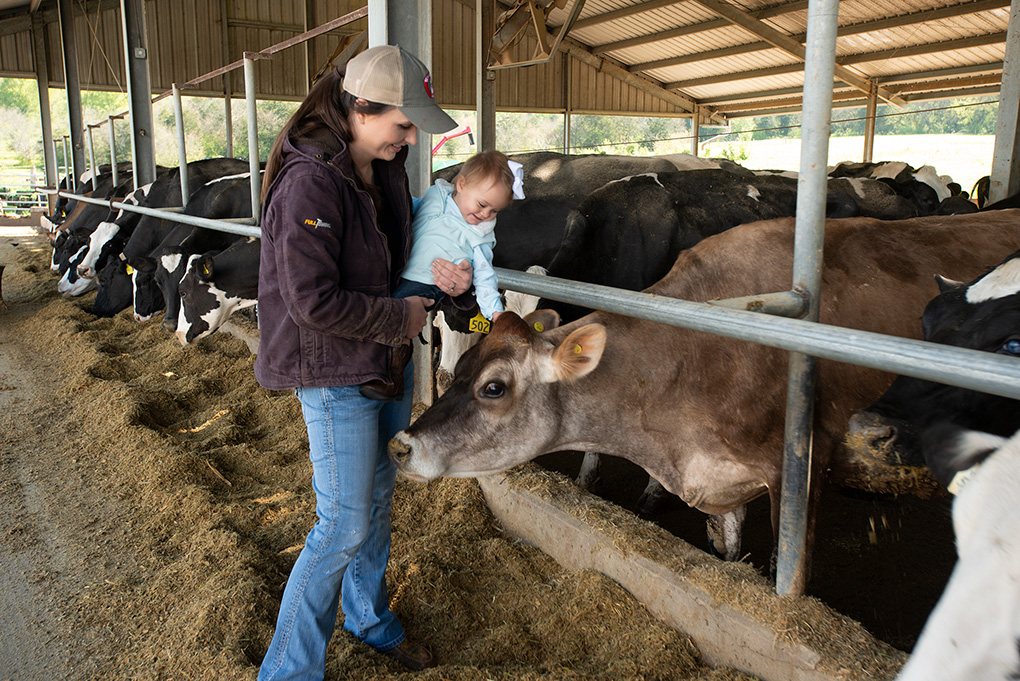 Mother holding baby looking at cow